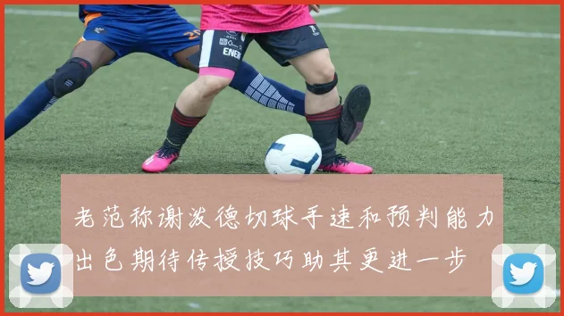 老范称谢泼德切球手速和预判能力出色期待传授技巧助其更进一步