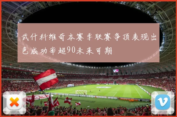 武什科维奇本赛季联赛争顶表现出色成功率超90未来可期