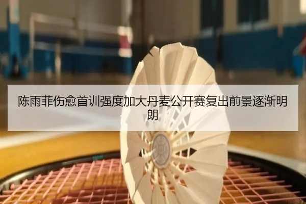 陈雨菲伤愈首训强度加大丹麦公开赛复出前景逐渐明朗（jiuyou）